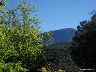 Rifugio monte Turchio